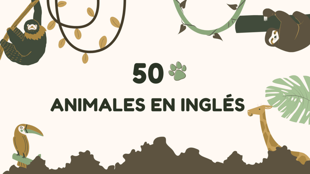 50 nombres de animales en inglés su pronunciación