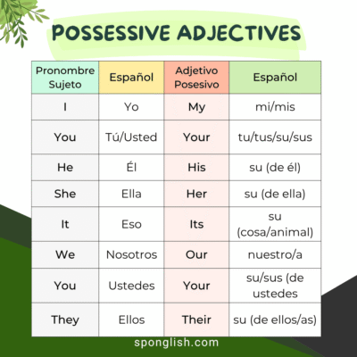 adjetivos posesivos en inglés