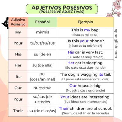 ejemplos adjetivos posesivos en inglés
