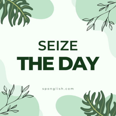 frases cortas en inglés y traducidas