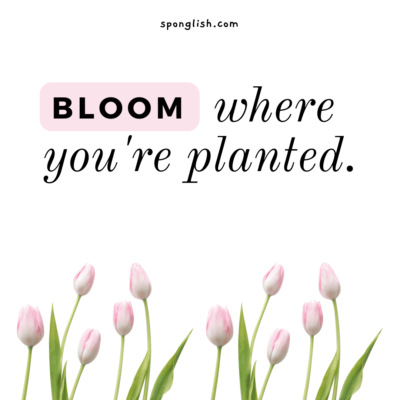 frases aesthetic para whatsapp