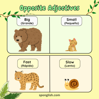 adjetivos opuestos en inglés